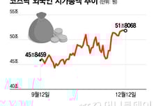 "정부가 띄운다, 곧 천스닥" 외국인도 우르르...보유 시총 '역대 최대'