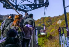 국민 100명에게 갈 만한 곳 묻자…'4대 관광지' 나왔다