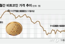혼돈의 비트코인, 안갯속 전망...'연말 1억원, 5년 뒤 7억원?'