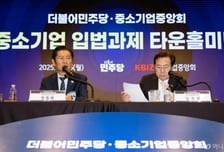 與한정애, 기존 보유 자사주 소각 1.5년→2년 "유예기간 더 주어질 것"