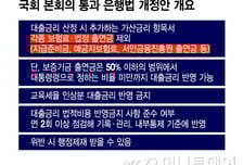 "법적비용 전가 금지"… 금리 내려갈까