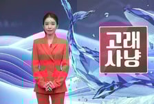 [고래사냥] '쎄크, 티씨머티리얼즈, LG전자!' 오늘 장 궁금종목 분석