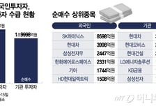 "어, 많이 싸졌네"...외국인·기관 삼성전자 팔고 '이 주식' 담았다