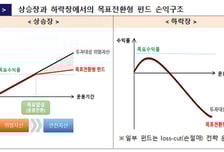 "넣어두면 7~9% 번다" 3조 몰렸는데...금감원 "돈 잃을 수도" 경고