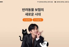 산업은행까지 합류한 펫보험사…마이브라운 170억원 증자