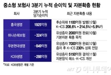 유상증자·후순위채 이어진다…중소형 보험사 자본확충 러시