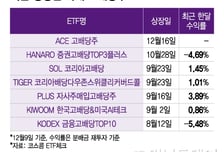 '배당수익률 만으론 부족'... 전략 진화하는 고배당주 ETF