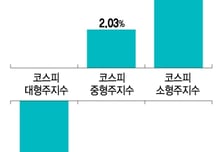 'AI거품론' 발목 잡힌 하이닉스·삼전..."또 상한가" 소형주는 신났다