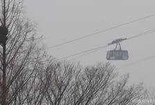 남산 케이블카 '64년 독점' 깨질까...'명동→정상 5분' 곤돌라 운명은