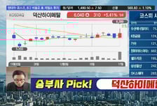 [필승매매 승부사] 반도체·패키지 기판 업황 호황 직수혜! '덕산하이메탈'