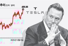 "자율주행 믿었어" 신고가 테슬라 얼마나 더?…"3배 비싸" 의견도