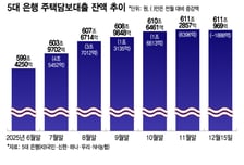 연말 꽉막힌 은행 가계대출… 내년에도 문턱 넘기 힘들다