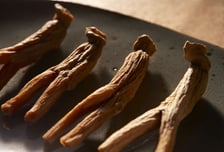 "독감 감염세포 죽였다"...한국인 많이 찾는 '이것' 놀라운 효과