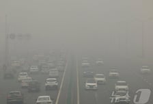 "회사·학교 나오지 마"…최악의 대기오염 인도 수도 뉴델리 '마비'