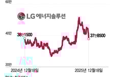 수요둔화 우려에 이차전지株 '풀썩'…LG엔솔 8%대 '급락'