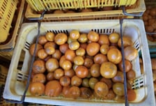 "맛있으면 되지" 제주 못난이 귤 주문했는데 '황당'...못 먹는 귤 왔다