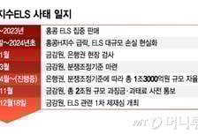 홍콩H지수 ELS 과징금 제재 '결론' 내년으로