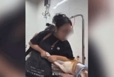 "너희 나라 항복했어" 시바견 폭행 애견미용사 영상에 '발칵'