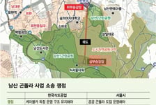 서울시 "남산 곤돌라 패소 판결 납득 어려워…즉시 항소"