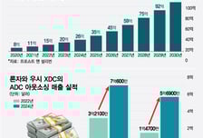 美 생물보안법 통과에 CDMO 판도 변한다…'K-바이오' 기회오나