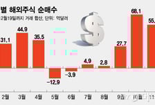 弗 지핀 서학개미… 올 해외주식 46조원 역대최대 쇼핑