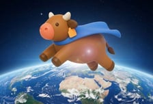 뱅카우, 한우 투자 수익률 17% 달성…국내 경매 넘어 중동 수출까지