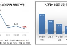 기업 52% "내년 어렵다"…고환율·내수부진에 유통도 '흐림'