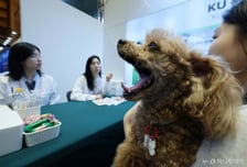 1만2800원 vs 7400원...동물병원 진료비 '천차만별'