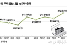 가계 빚도 지역, 나이별로 차이…30대·서울에 주담대 쏠림