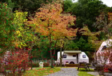 청량산 수원캠핑장 이용률 94%…소멸위기 봉화군 상권에 온기