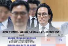 조현범 회장 항소심 징역 3→2년…법원 "일부 혐의 무죄 감형…구속유지"