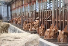 축산현장 저탄소 생산방식 확대…지속가능한 축산·온실가스 '다 잡는다'