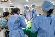 세계로 뻗어가는 K-농업ODA…개도국 맞춤형지원에 '호응'