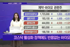 [메가사이클] '우주항공주' 추진력 상실?