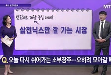 [투자 알고리즘] 한일령 완화·中 콘서트 기대감… 내년이 더 기대되는 엔터, 하이브·에스엠 모아가자