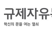 규제자유특구 실증 부담 줄어든다...부가조건 입증 절차 도입