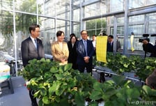 농식품부, 농촌소득에너지정책관 신설…농어촌 기본소득· 햇빛소득마을 전담