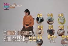 "변기 지린내 2배"...생쥐 8마리 키우는 아내, 악취에도 "한 마리 더"