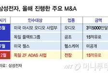 빅딜 시계 빨라졌다, 이재용 공격경영 궤도