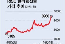 "금·은 너무 비싸" 눈 돌린 투자자들?...24% 급등한 '팔라듐' ETF