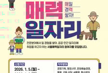 AI직무로 확대된 '서울 매력일자리'...내년 공공·민간 3600명 지원