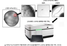 강스템바이오텍-한국파스퇴르연구소, 모낭 오가노이드 스크리닝 공동연구계약 체결