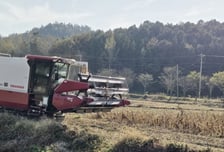 강진군, 2025년 전략작물직불금 45억 지급