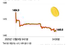 구두개입·세제 카드 총동원...원/달러 환율, 33원 '뚝' 3년만에 최대 낙폭