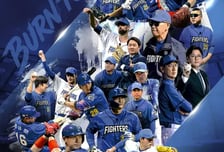 폭주하던 '불꽃야구', 모든 회차 삭제..법정 다툼 집중