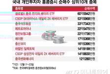 "다 한국인이야?" 개미들 돈 들고 몰려간 곳...레버리지로 '불타기'