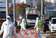 고창 오리 농장, 고병원성 조류인플루엔자 발생…8000마리 살처분