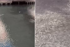 한국인 필수 관광코스에...일본, 물 반 고기 반 '대지진 전조'?