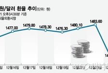 '세제 혜택' 소방수, 급한 불 껐다...내년 초 환율 1400원 '초반' 갈까