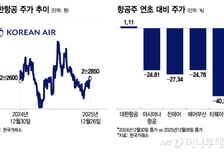4천피에도 나홀로 저공비행...고환율 기류 갇혀 날개 꺾인 항공주